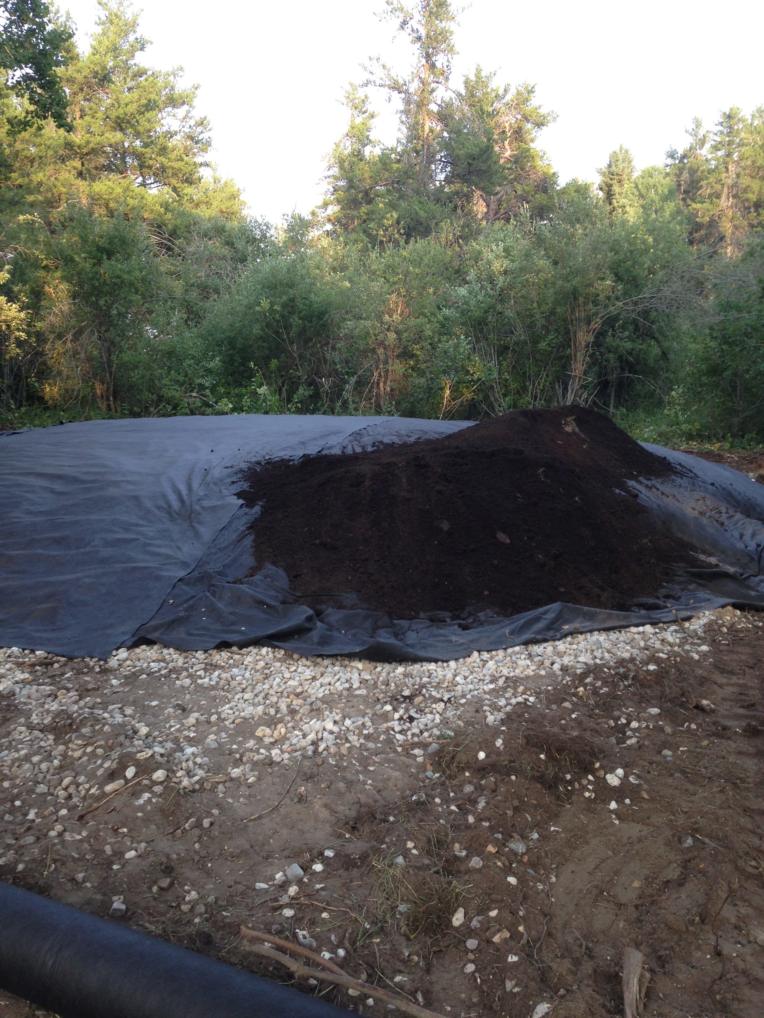 Septic Field