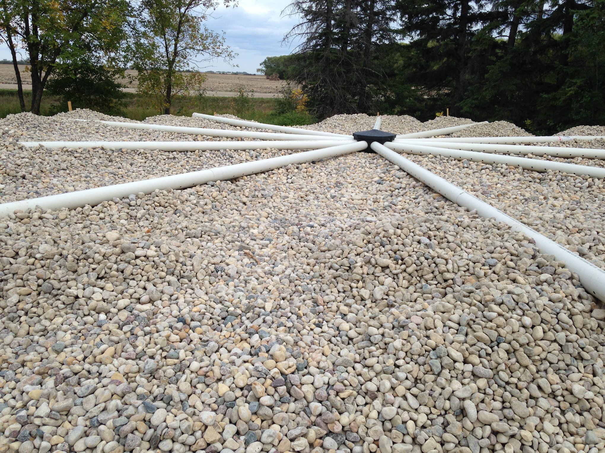 Septic Field
